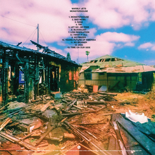 Load image into Gallery viewer, MONSTERHOUSE Vinyl LP - Orange